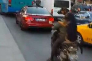 K&ouml;peğin motosiklet keyfi