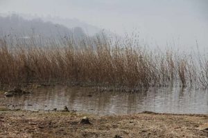 Sapanca'da korkutan &ccedil;ekilme
