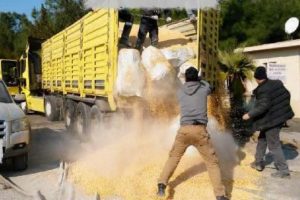 Mısırların altından 464 kilo esrar &ccedil;ıktı