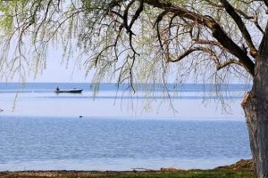 İznik G&ouml;l&uuml;'n&uuml; bitirecek proje durduruldu!