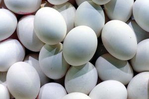Saniyede 523 yumurta "kırdık"