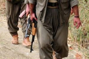 Ceylanpınar'da 1 ter&ouml;rist yakalandı