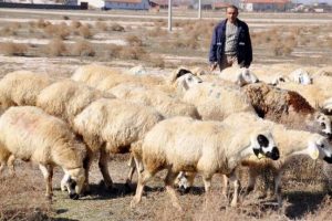 K&ouml;yl&uuml; bu y&uuml;zden canından bezdi
