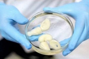 Beklediğiniz organ 3D printerdan &ccedil;ıkabilir