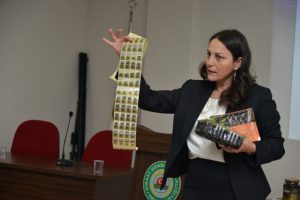 Gemlik zeytini koruma altına alınıyor