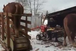 Beygir g&uuml;c&uuml;yle &ccedil;alışan testere
