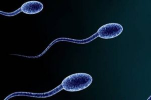 Sperm sayısındaki d&uuml;ş&uuml;ş alarm veriyor