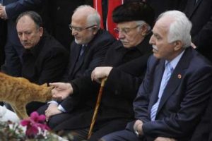 Erbakan anmasında kedi s&uuml;rprizi