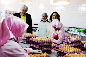 H&uuml;lya Ko&ccedil;yiğit'in organik d&uuml;nyası