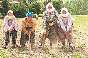 Babadan miras tarlaya devlet m&uuml;dahalesi!