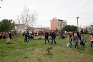 &Ccedil;am fidanları toprakla buluştu