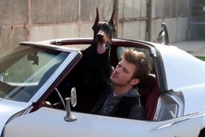 Kıvan&ccedil; Tatlıtuğ k&ouml;peği Pars'a 2 bin TL'ye bakıcı tuttu...