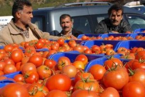 Rusya'dan T&uuml;rkiye'ye b&uuml;y&uuml;k şok!