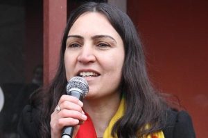 BDP 'Kadınlar G&uuml;n&uuml;'n&uuml;n k&ouml;yde kutladı
