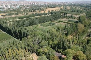 SİT stat&uuml;s&uuml;n&uuml;n kaldırılmasına iptal
