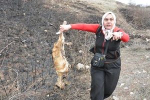 K&ouml;pek katliamına tepki