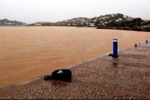 Bodrum'da deniz kahverengiye d&ouml;nd&uuml;