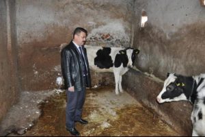 Hayvan &ouml;l&uuml;mlerinin sebebi bu hastalık