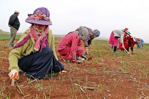 Suriyeli kadınlar "g&uuml;nlerinden" habersiz