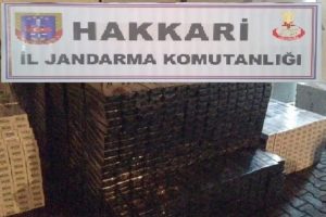 Baharat kutuslarında bakın ne taşımışlar !