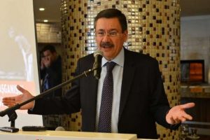 G&ouml;k&ccedil;ek'in t&uuml;ylerini &uuml;rperten olay