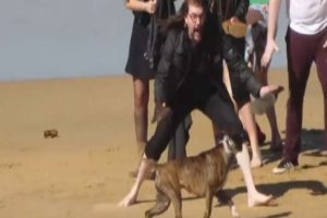 "Kontrolden &ccedil;ıkan" k&ouml;pek dehşet sa&ccedil;tı