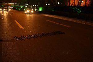 Alkoll&uuml; s&uuml;r&uuml;c&uuml;ler kapana d&uuml;şt&uuml;