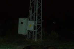 Elektrik akımına kapılan inekler telef oldu