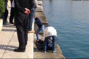 Ortada kalan k&ouml;pekler &ouml;l&uuml;m habercisi oldu