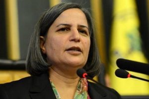 Kışanak'tan &ccedil;elişkili '&ccedil;&ouml;z&uuml;m s&uuml;reci' a&ccedil;ıklaması