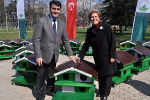 Osmangazi'den "kedi evleri"