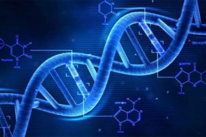 T&uuml;m DNA'nız deşifre edilebilir