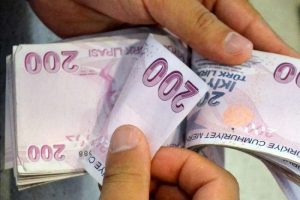 Tam 17,6 milyar lira harcandı