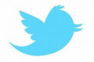 İşte Twitter'a girmenin yolları