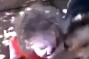 K&uuml;&ccedil;&uuml;k kız ve k&ouml;peğin su savaşı