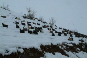 Bu k&ouml;ylere hen&uuml;z bahar gelmedi