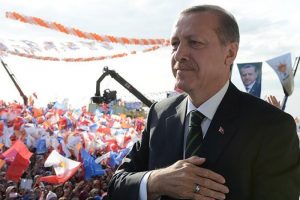 Ter&ouml;r &ouml;rg&uuml;t&uuml;nden ne farkları var?