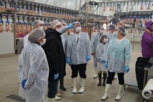 Japonya'ya tavuk ihracatı yeniden başlıyor
