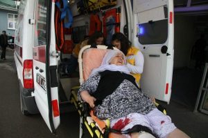 Bursa'da sokak k&ouml;pekleri dehşet sa&ccedil;tı