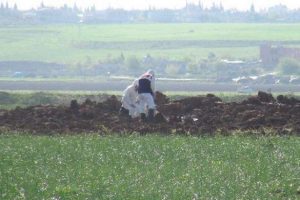 Reyhanlı kırsalına d&uuml;şen top mermisi bulundu