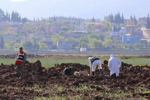 Yayladağı'na 3 top mermisi d&uuml;şt&uuml;