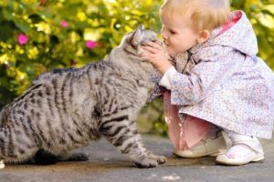 Kedi sahiplerine k&ouml;t&uuml; haber