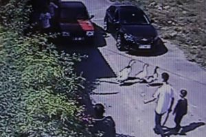 Kaz cinayeti davası Samsun'a taşındı