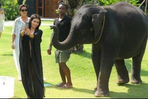 Kim Kardashian'dan filli selfie