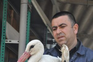 Yaralı leyleğe insanlık g&ouml;revi