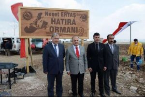 Bozkırın tezenesi ağa&ccedil;larda yaşayacak
