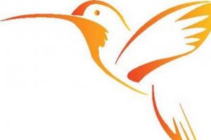 Castro'yu yıkmak i&ccedil;in '&ccedil;akma Twitter'