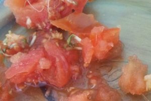 G&ouml;renleri şoke etmişti... Bu domatesle ilgili &ccedil;ok &ccedil;arpıcı bilgi