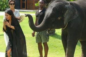 Kim Kardashian'ın Selfie'si boğazında kaldı