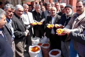 Kayısı &uuml;reticileri h&uuml;k&uuml;metten haber bekliyor